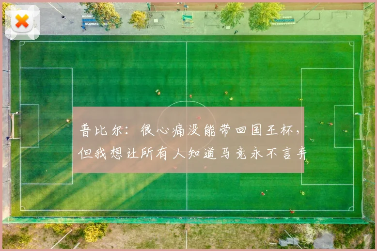 普比尔：很心痛没能带回国王杯，但我想让所有人知道马竞永不言弃